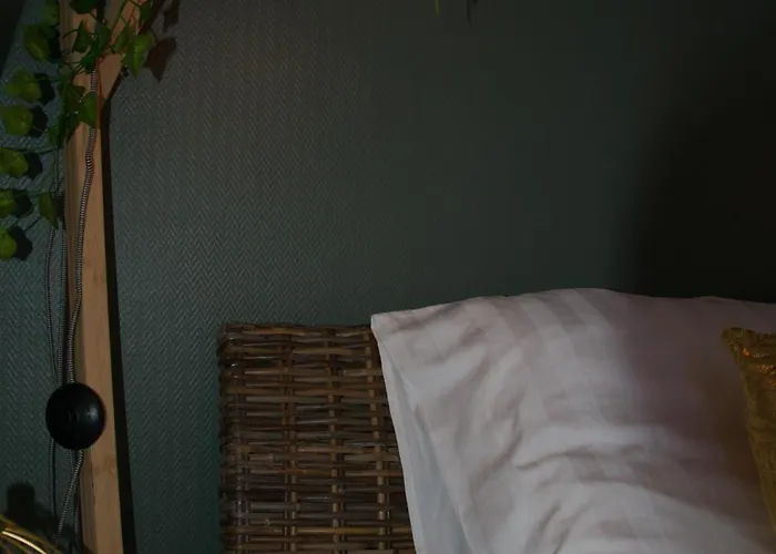 住宿加早餐酒店 Les Demoiselles 翁弗勒尔